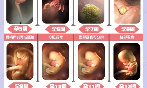 哺乳期头疼鼻塞流鼻涕怎么办专区_哺乳期头疼乍办专区_哺乳期头疼流鼻涕了怎么办啊网